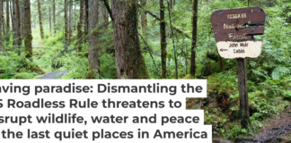A sign on a dirt hiking trail in the Tongass National Forest in southeast Alaska points to naturalist John Muir’s cabin. Wanderluster/iStock/Getty Images